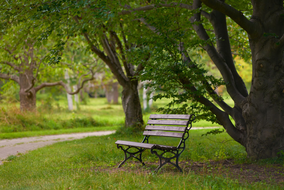 Lugares tranquilos en CDMX para meditar 