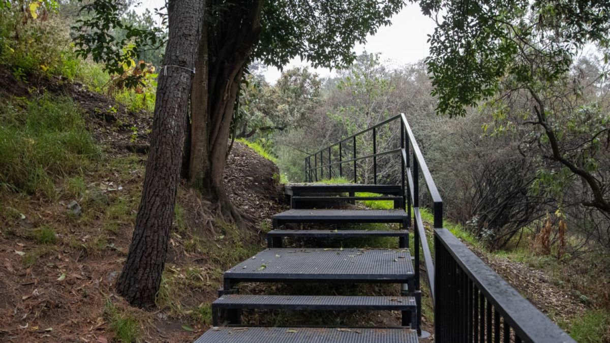 Circuito Serpientes y Escaleras 