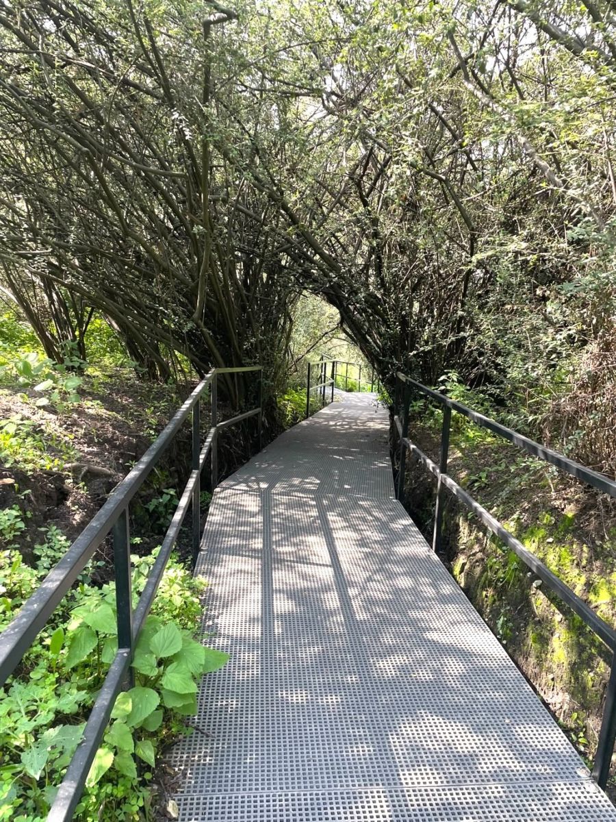 Circuito Serpientes y Escaleras