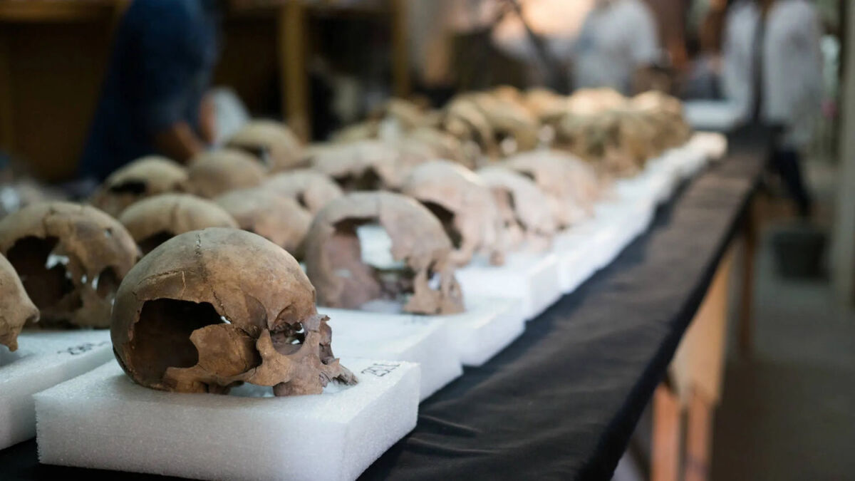En el nuevo Museo del Cacao y Chocolate de la CDMX encontraron restos arqueológicos 