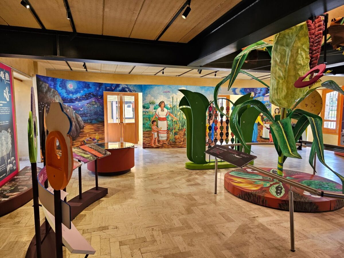 4 museos de comida en la CDMX para un fin de semana cultural y delicioso