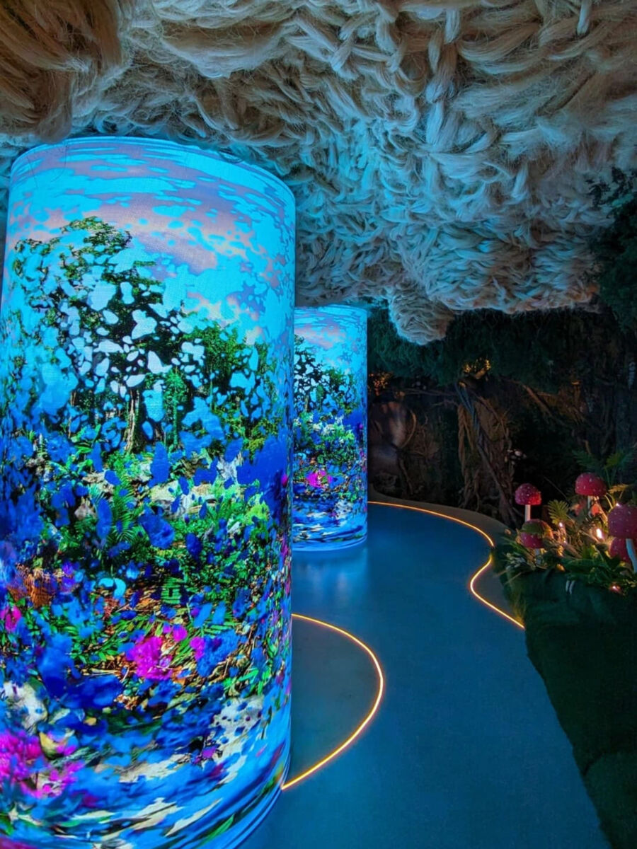 Estos son 5 museos nuevos que abrieron en la CDMX, ¿ya los visitaste?