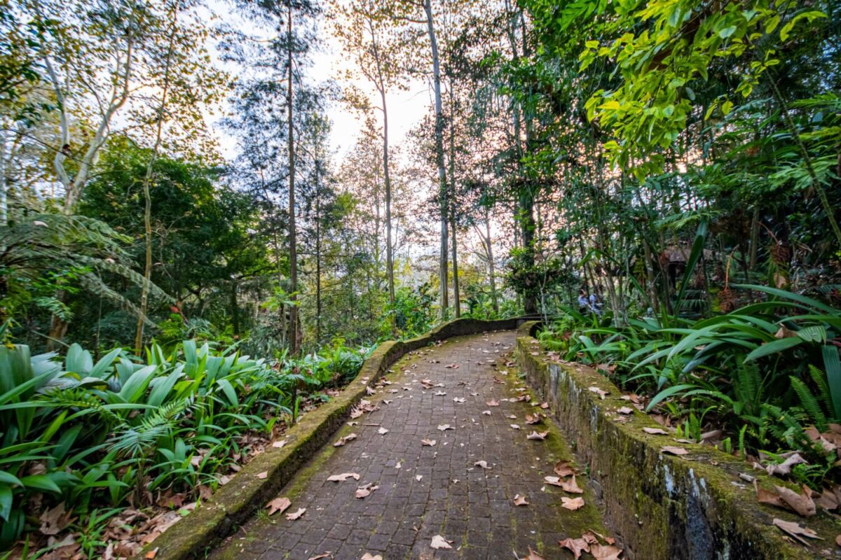 Parque de los Tecajetes en Xalapa