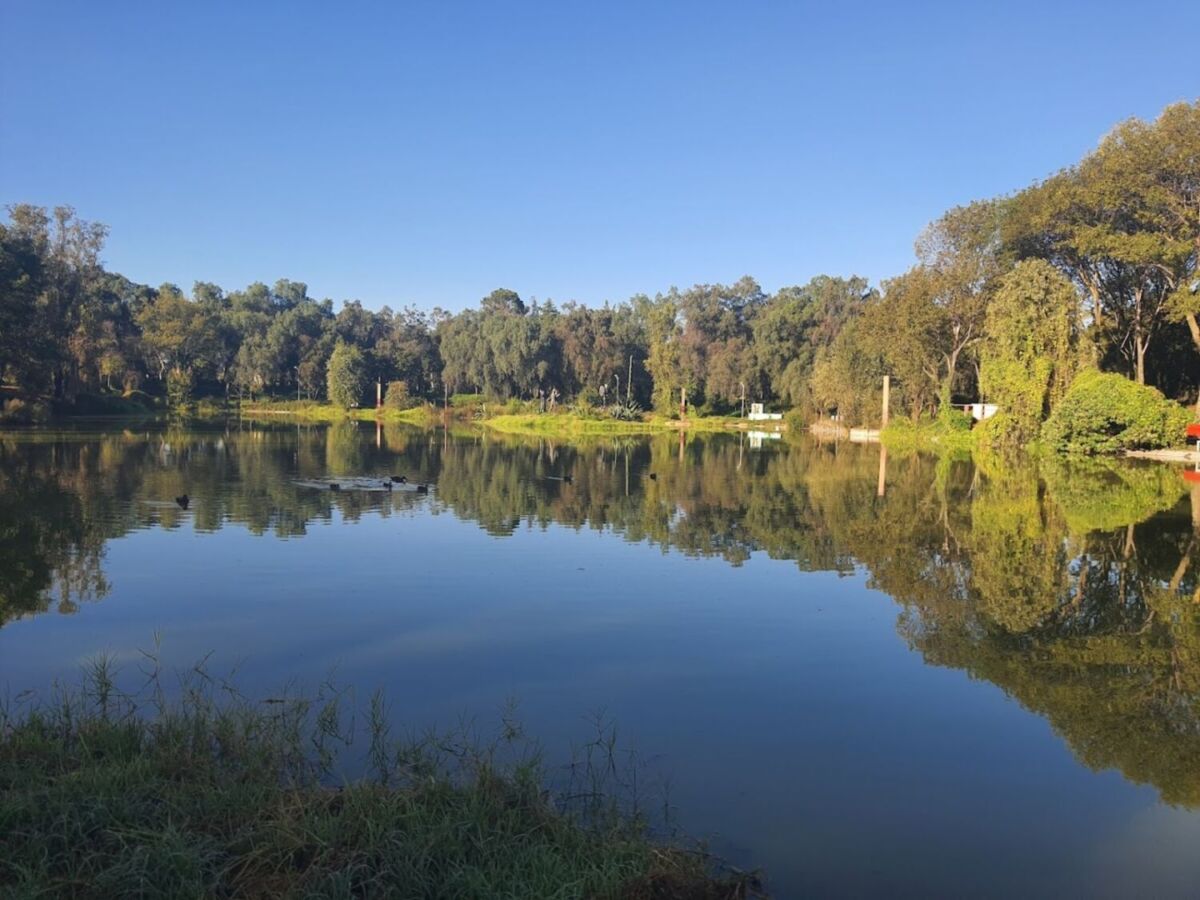 Pasó de ser a una hacienda a ser uno de los parques más bonitos de la CDMX