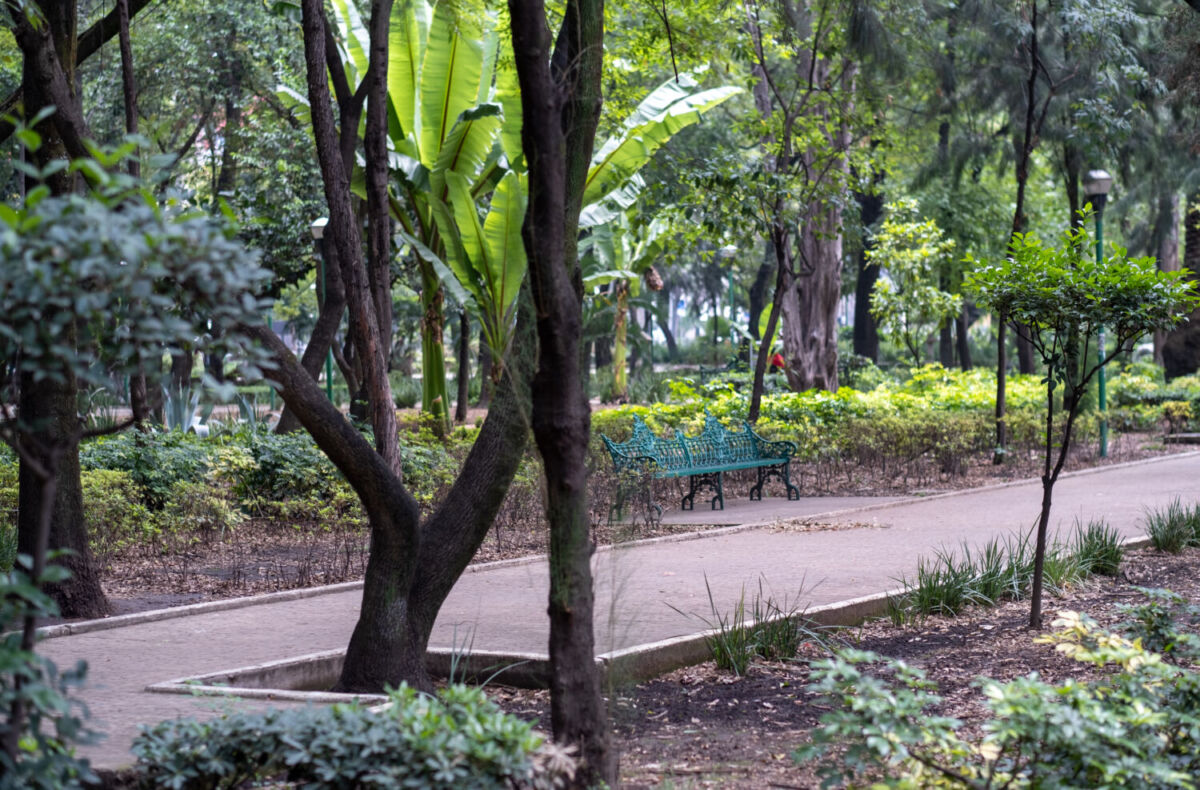 Parques públicos en CDMX 