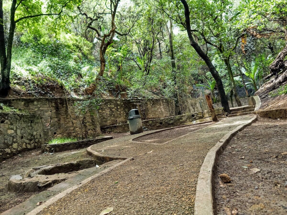 El Parque Alerces se ubica en Bosques de las Lomas y tiene áreas infantiles y para mascotas 