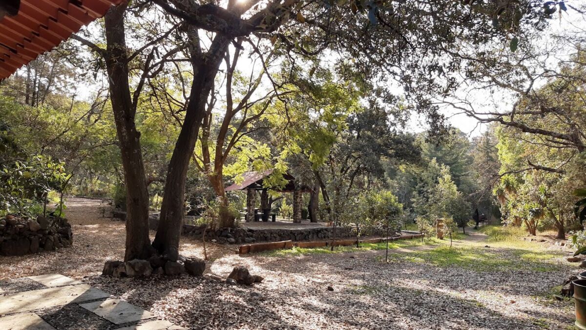 Parques menos frecuentados en la CDMX 