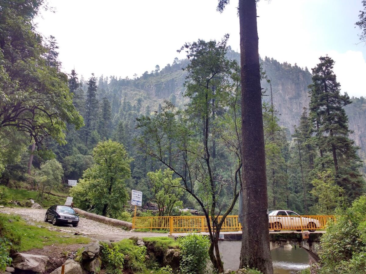 El Parque Nacional Cumbres del Ajusco se ubica al sur de la CDMX 