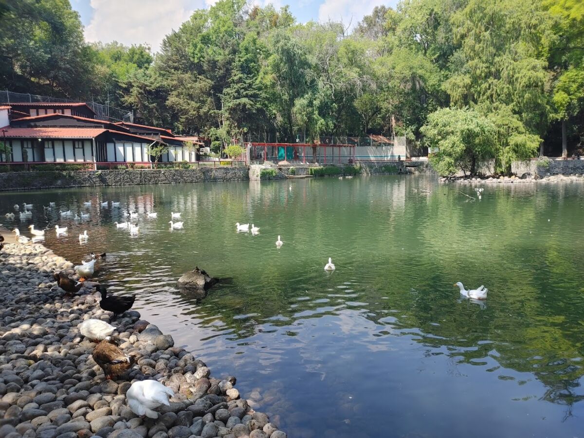 Bosques y parques poco visitados en la capital mexicana 