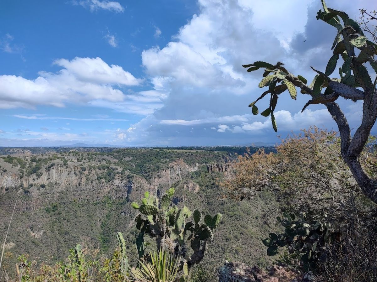 reserva natural en Hidalgo 