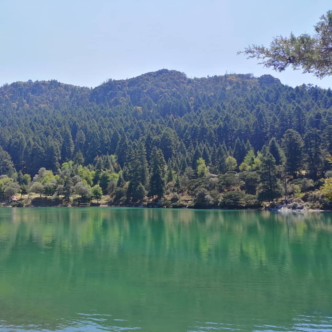 La presa El Cedral se ubica en el Parque Nacional El Chico