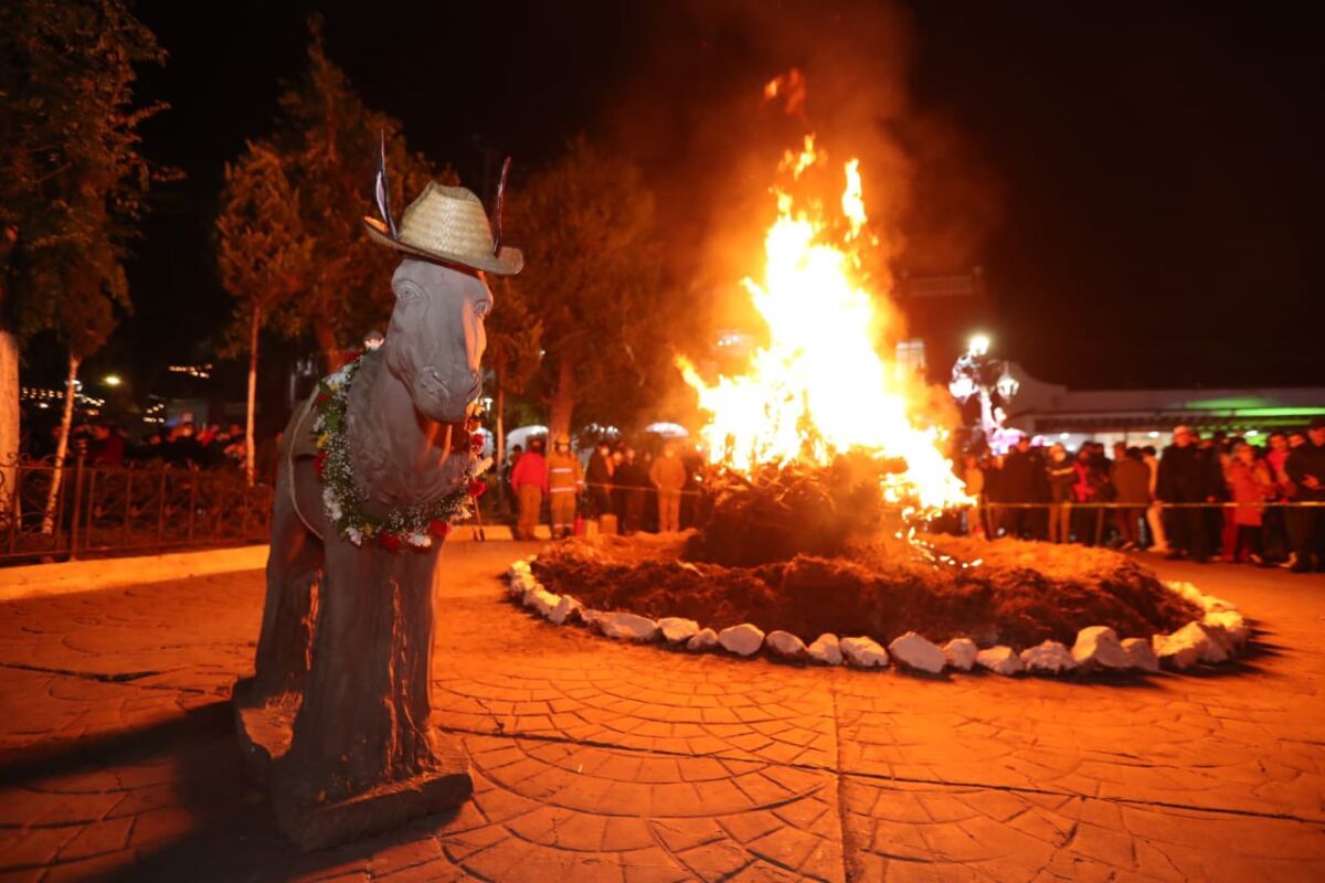Feria Nacional del Burro en Otumba 