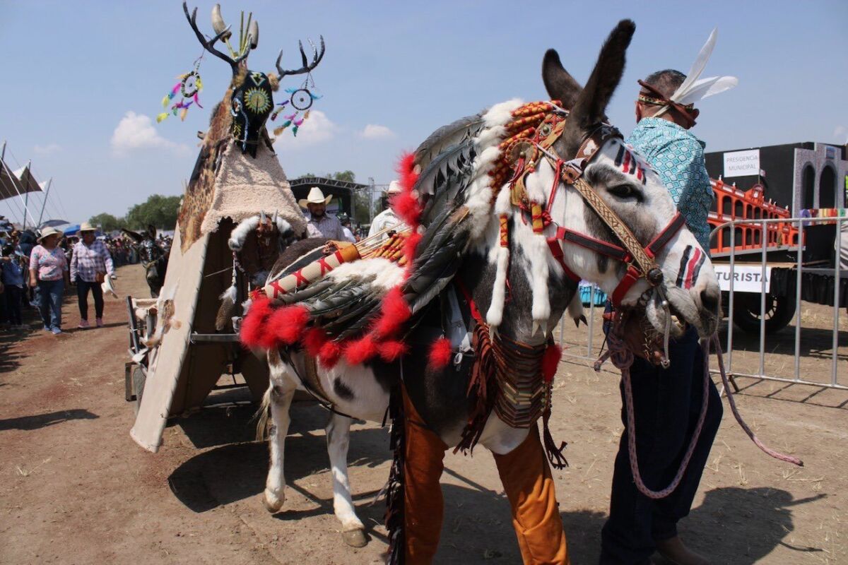 Este es el Pueblo Mágico menos conocido del Edomex donde cada año celebran una feria en honor a los burros
