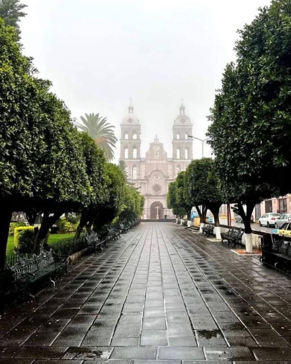 5 destinos en México que tienen grandes 'capas' de neblina 