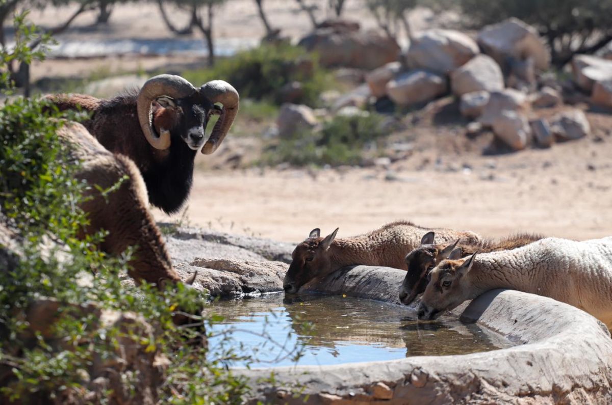 Centro Ecológico de Sonora