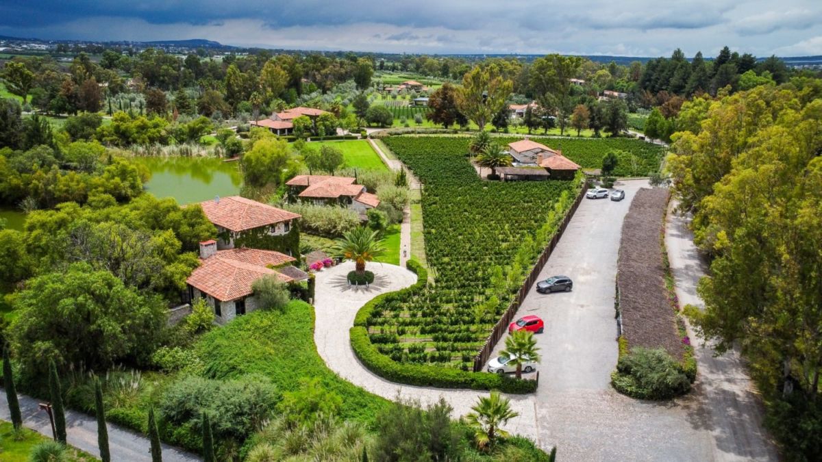 Viñedo San Lucas en San Miguel de Allende 