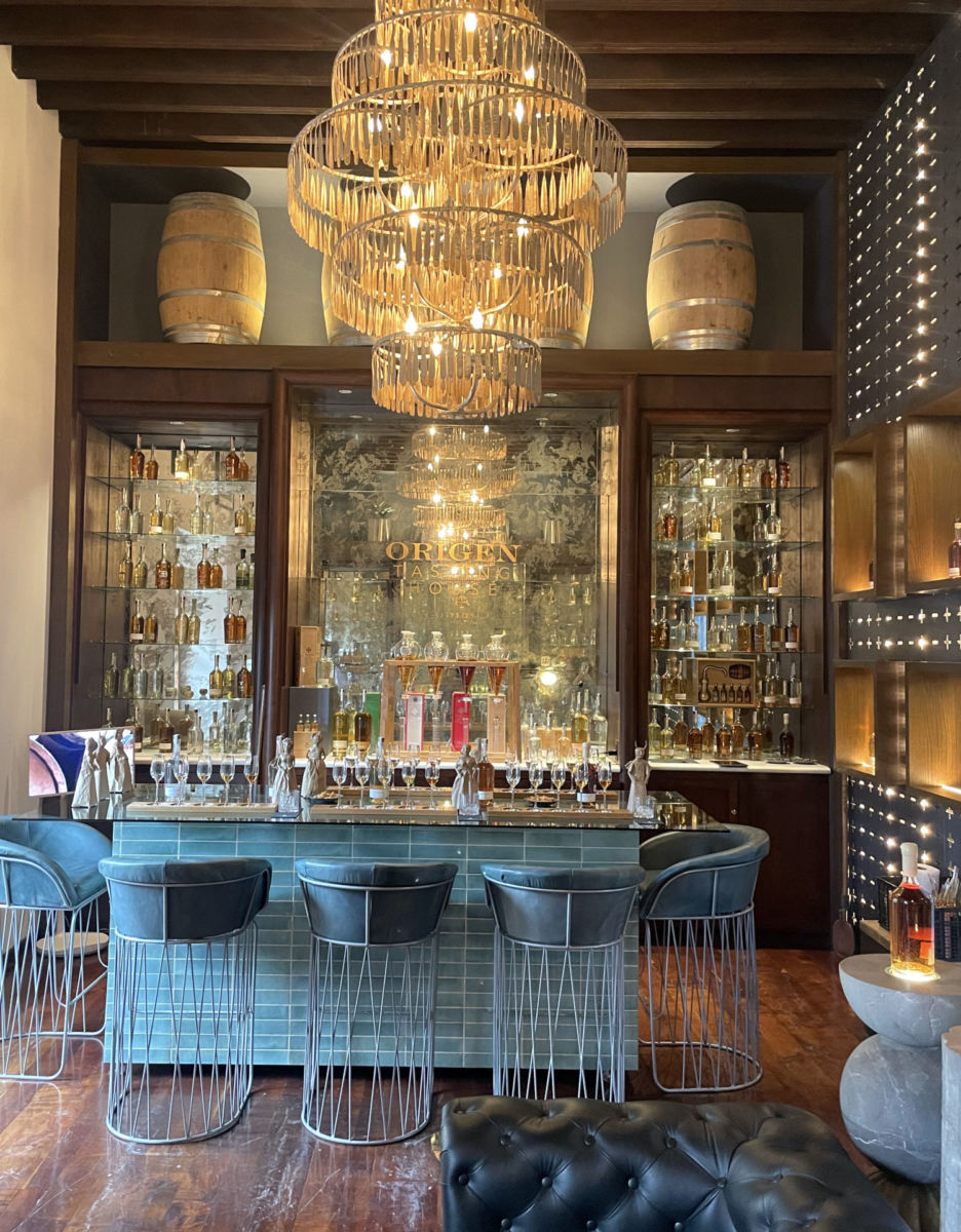 Cata de tequila y taller de mojigangas en San Miguel de Allende 