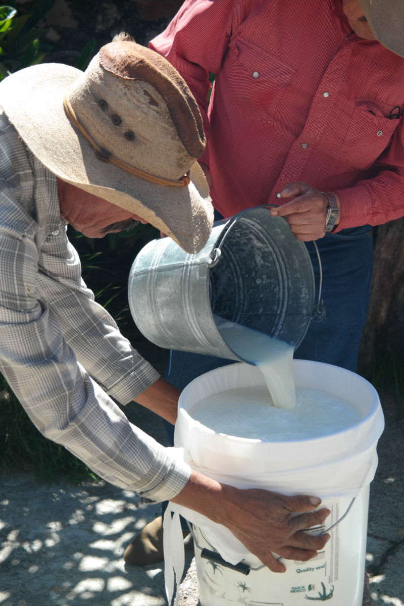 proceso de elaboración de queso en rancho xotolar