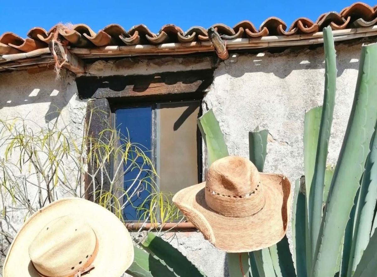 Montar a caballo, elaborar queso y conocer ruinas prehispánicas a 40 minutos del centro de San Miguel de Allende.