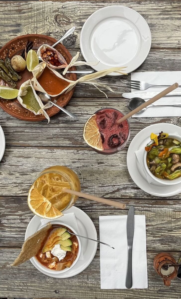 mariachito insurgentes