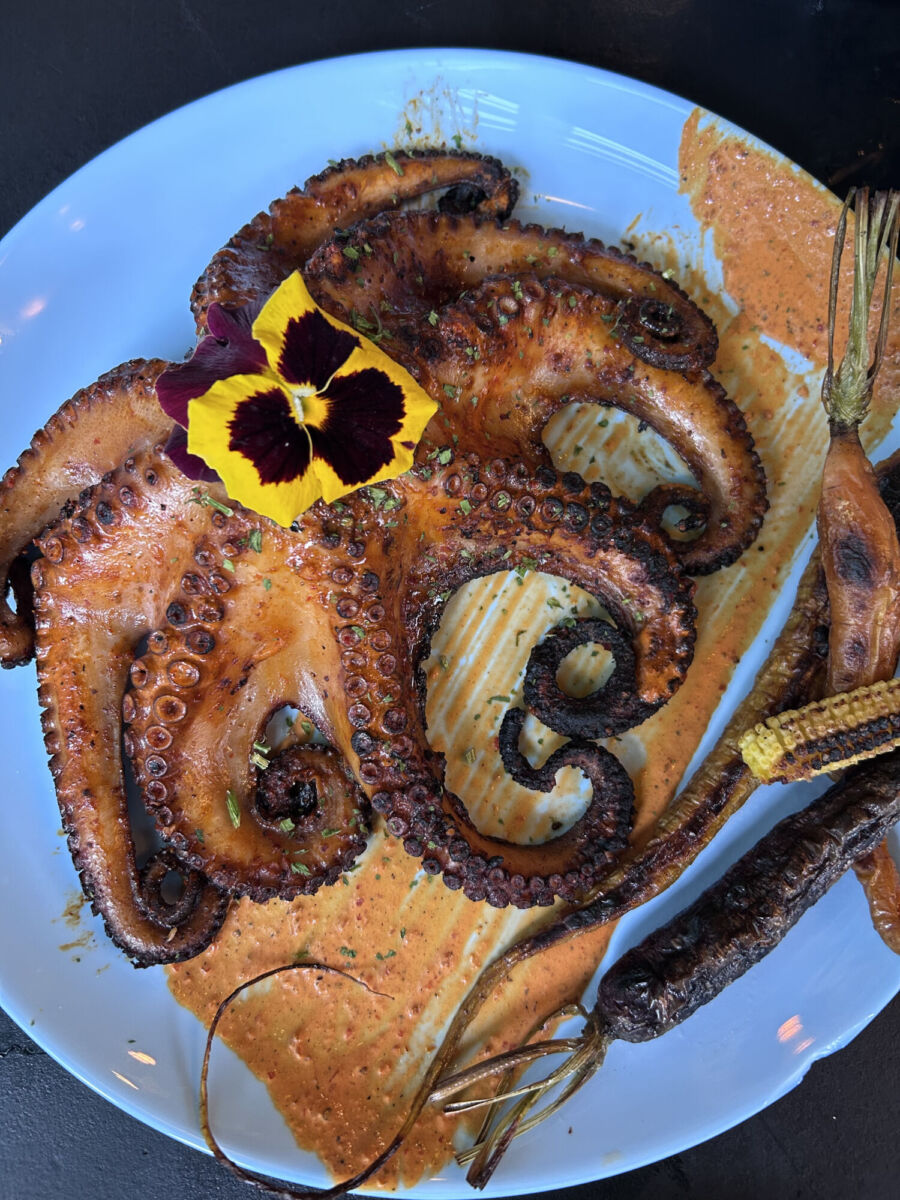 mariachito insurgentes