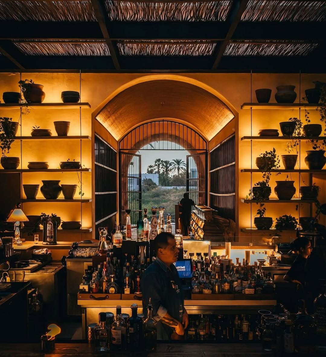 toro gastrobar los cabos