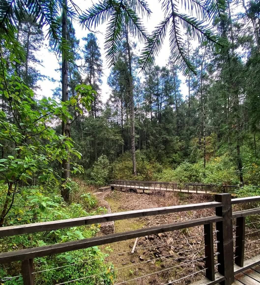 Santuario de Nacelagua