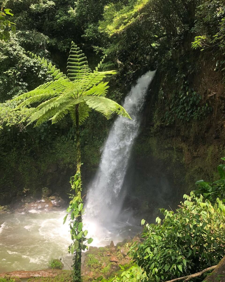  Cascadas de Teziutlán 