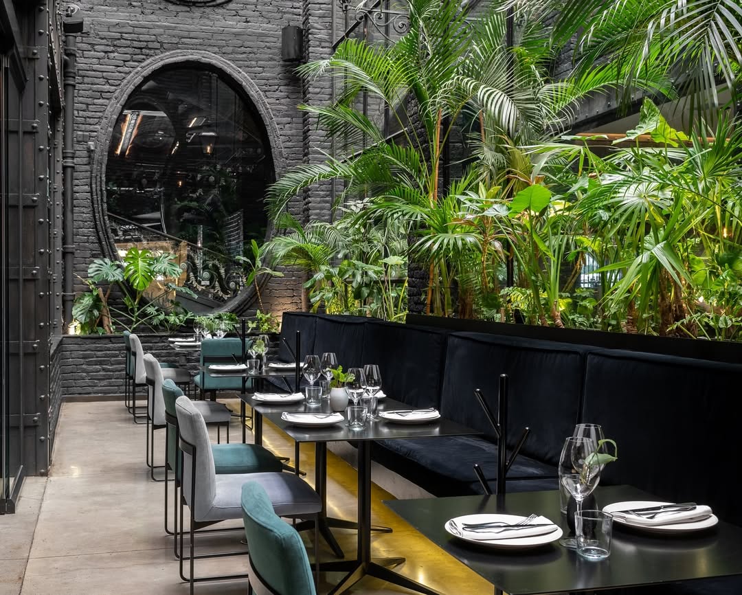 Restaurante Fónico en la Colonia Roma 