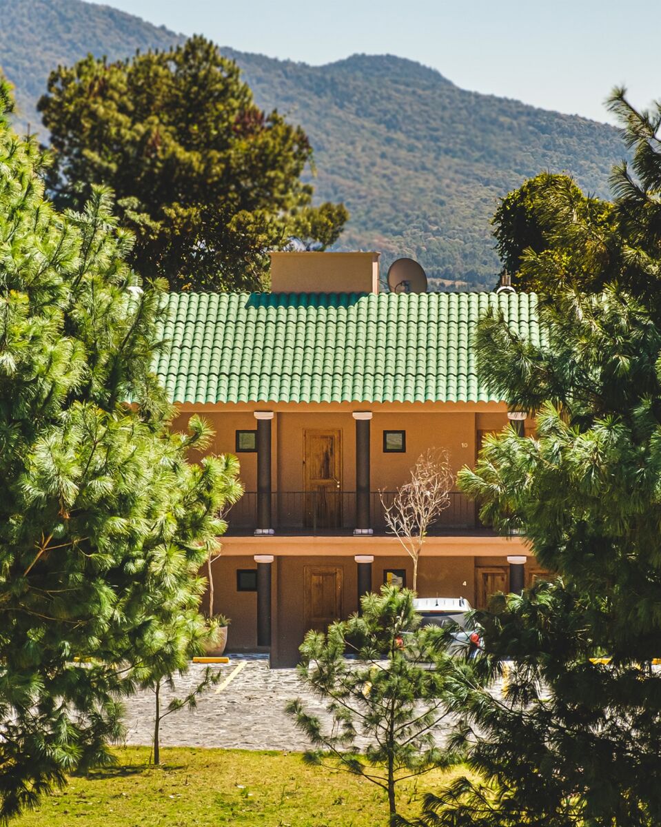 hoteles en el bosque