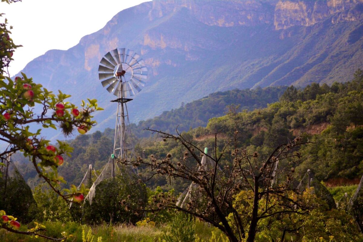 Este destino en el norte de México te envolverá en los colores y las vistas más otoñales