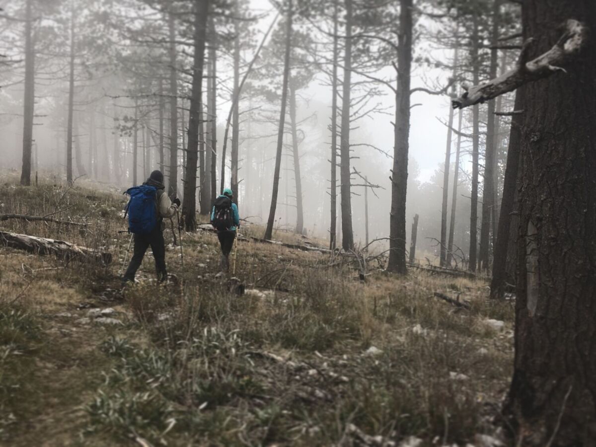 divertete con ecoturismo en coahuila haciendo senderismo en arteaga coahuila