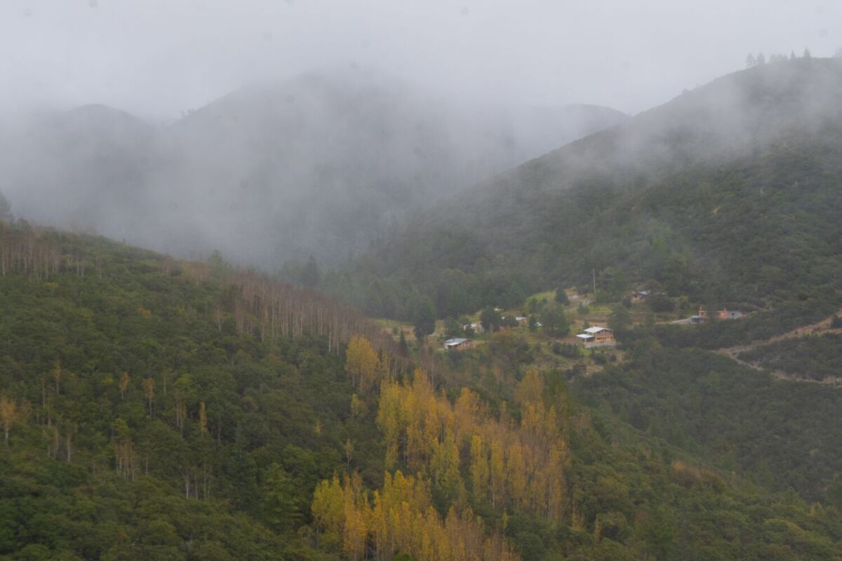 neblina y colores naranjas de otoño en la sierra de arteaga