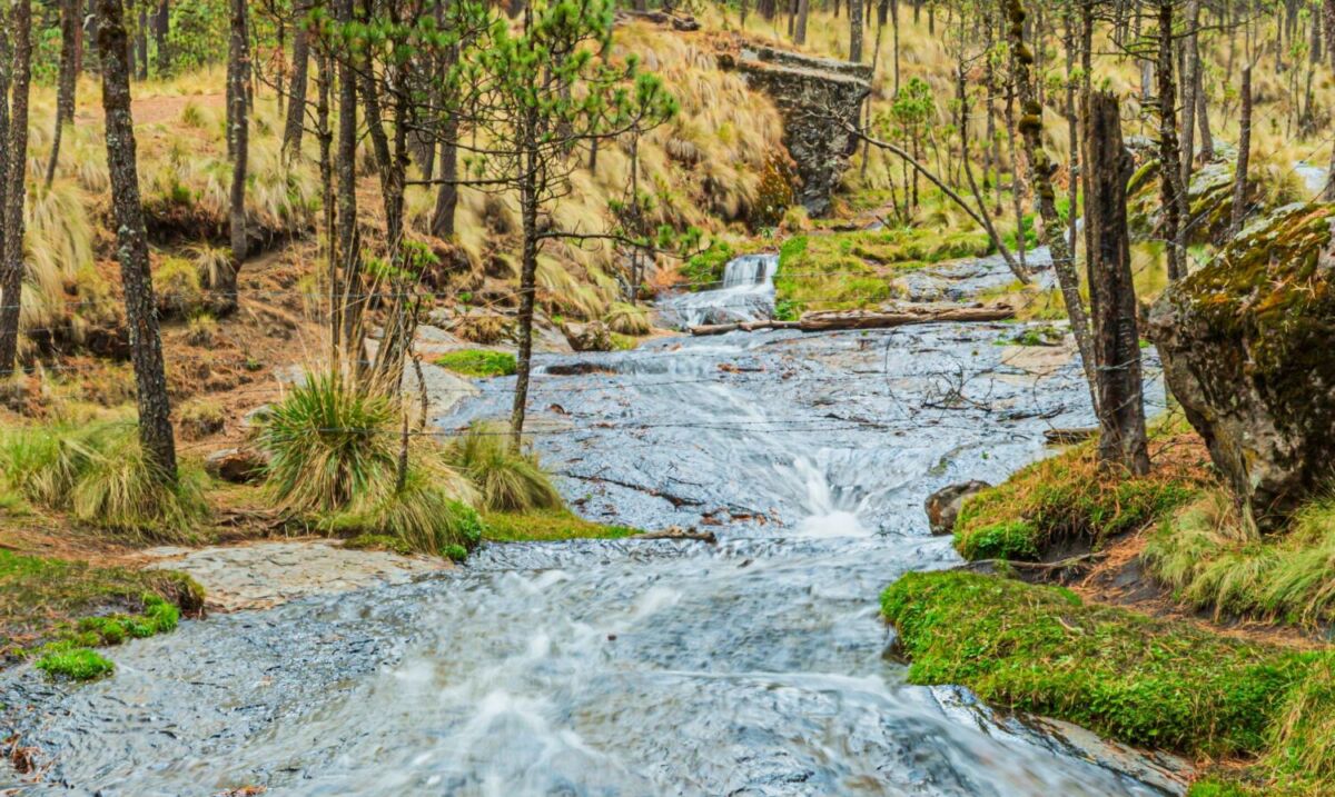 Lo subestiman por barato, pero es el balneario más antiguo para nadar en agua pura del Popocatépetl y el Iztaccíhuatl (muy cerca de la CDMX)