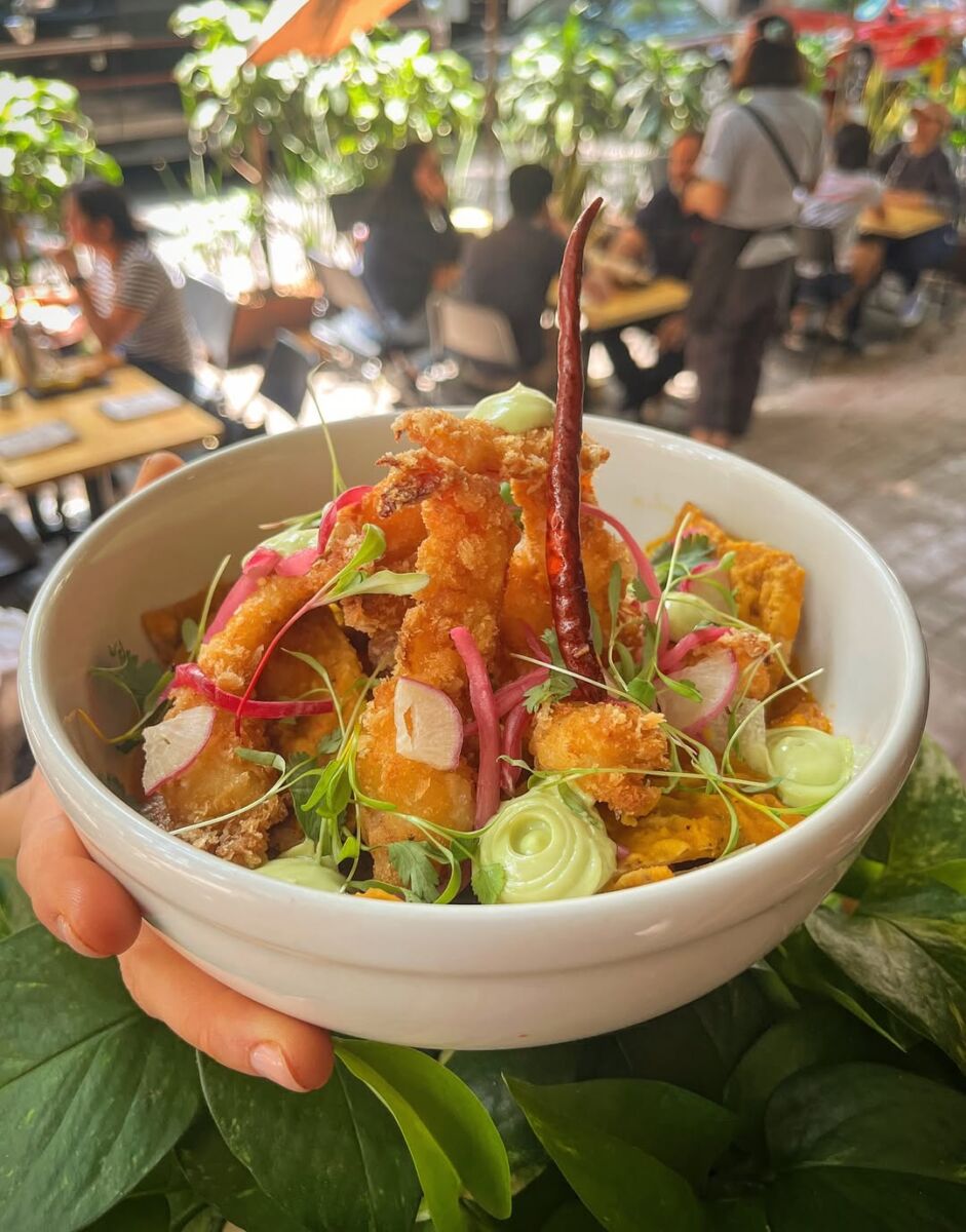 Chilaquiles con camarones empanizados en salsa tatemada 