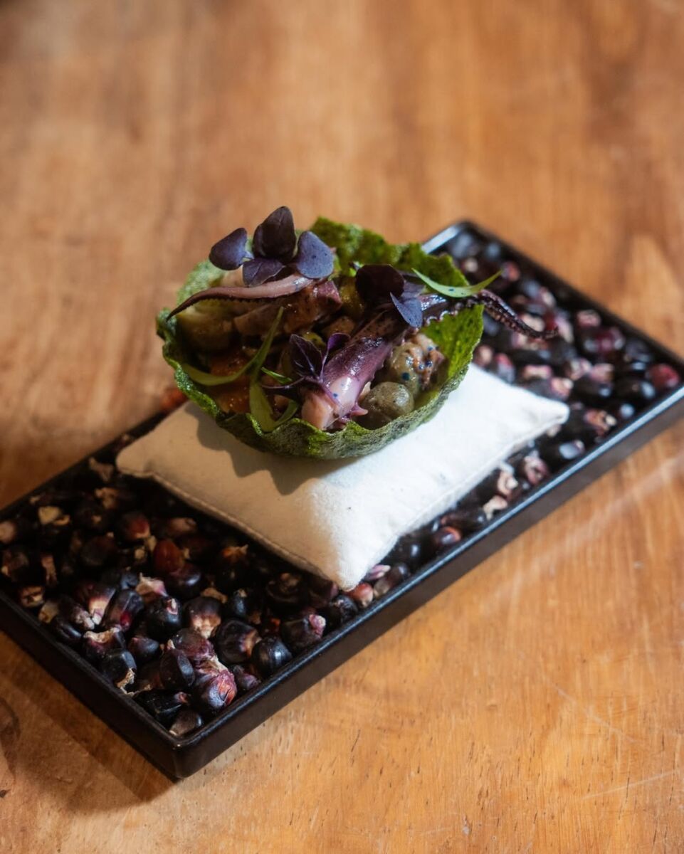 Congreso Gastronómico Sostenible