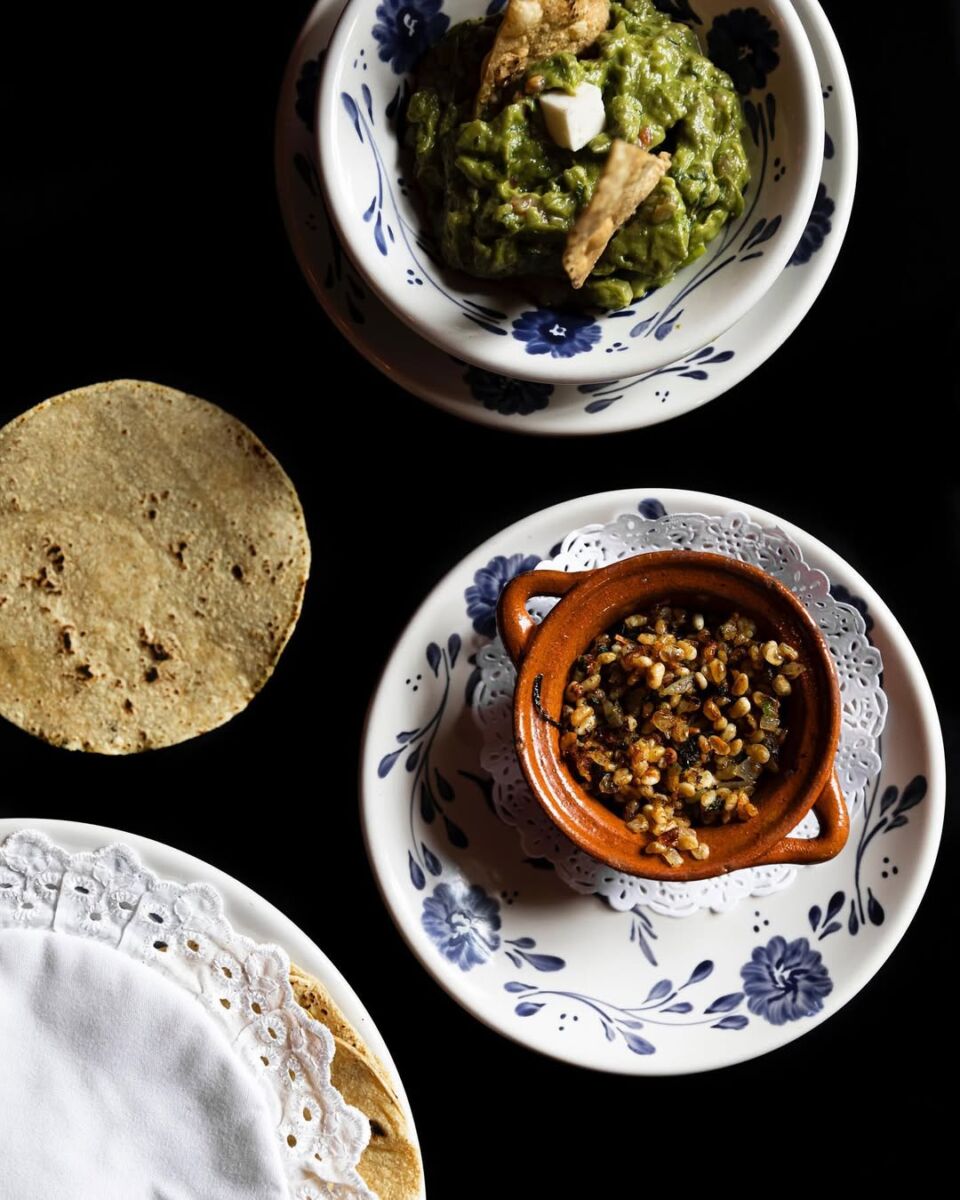 escamoles san ángel inn