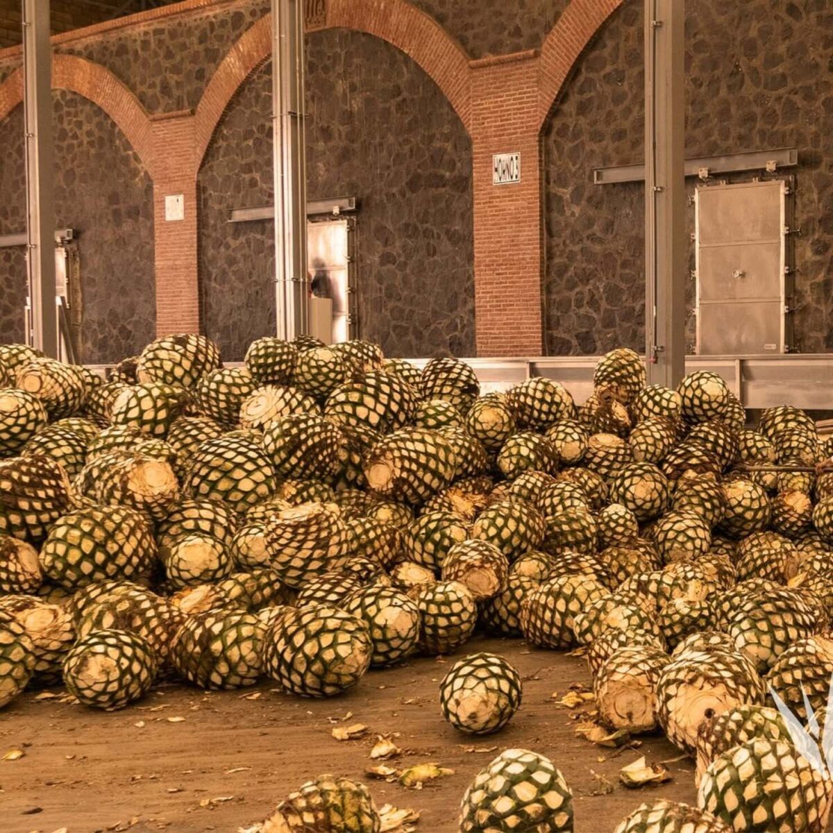 Disfruta de una experiencia imperdible en esta casa tequilera de Jalisco