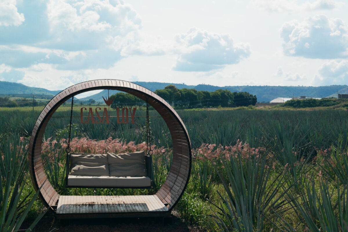 columpio dentro de una barrica en casa loy