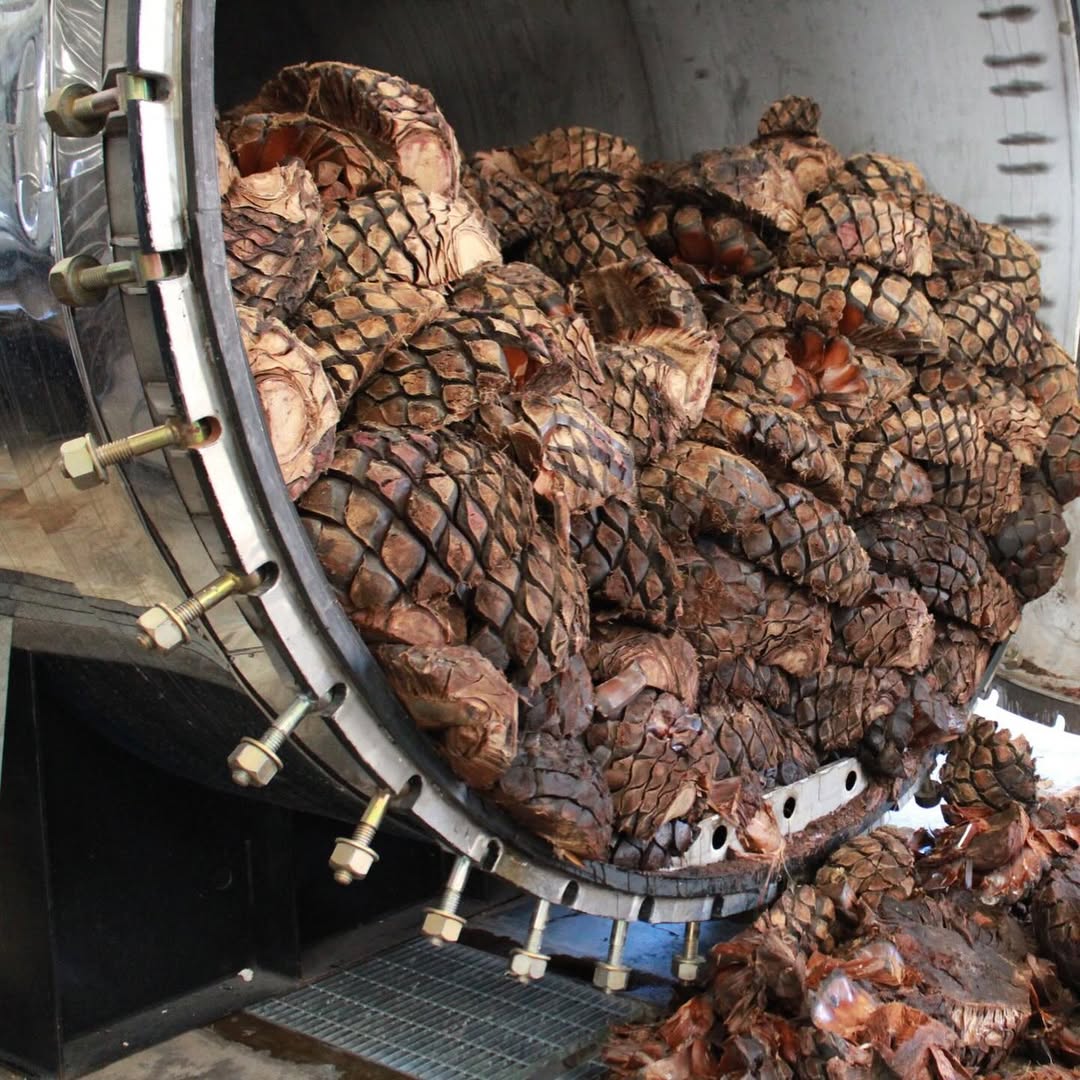 instalaciones casa loy