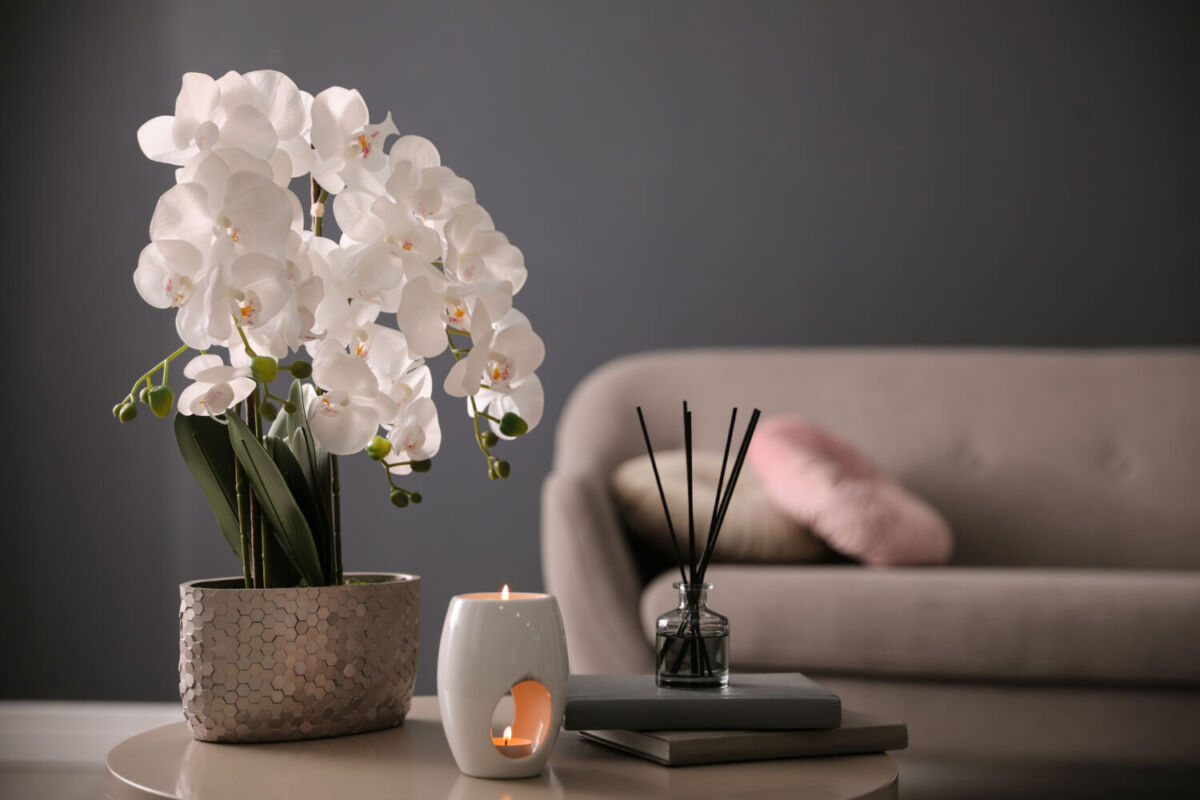 4 flores mexicanas para decorar tu sala de estar 