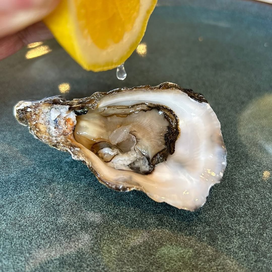 Gastrobares de otras en CDMX