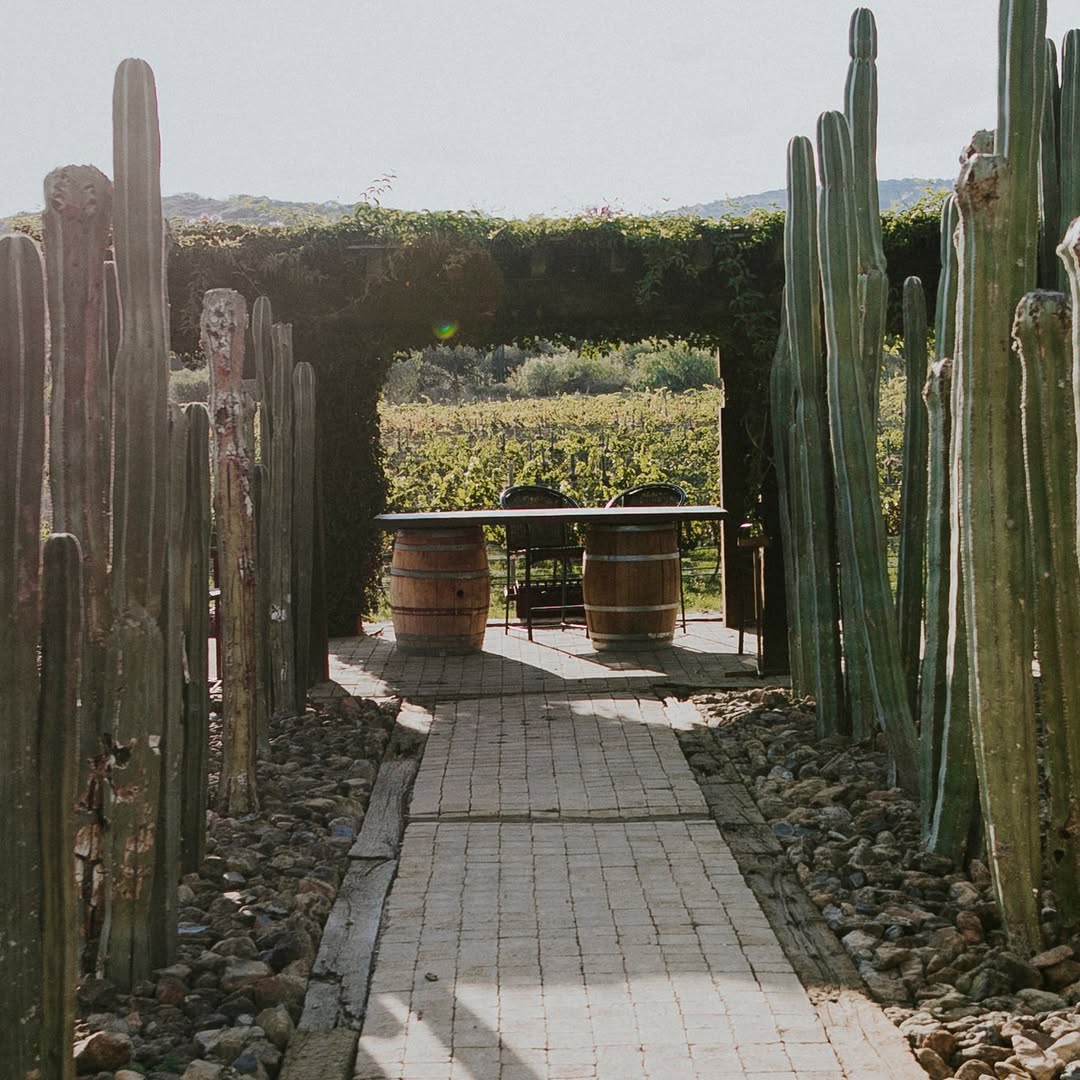 casa de quino finca y viñedo en querétaro
