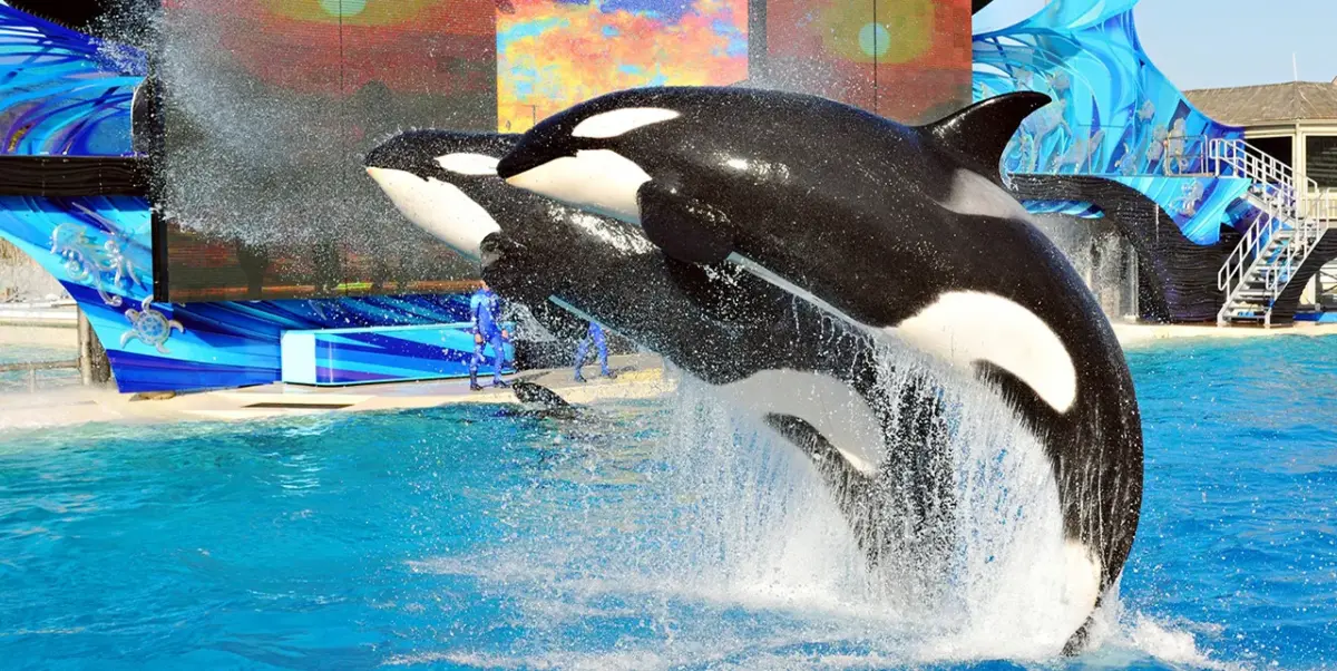SeaWorld San Diego