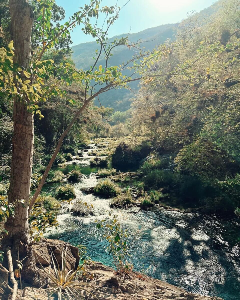 Los Arquitos de Ayutla 