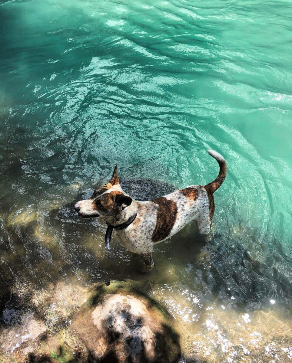 Los Arquitos de Ayutla en Querétaro