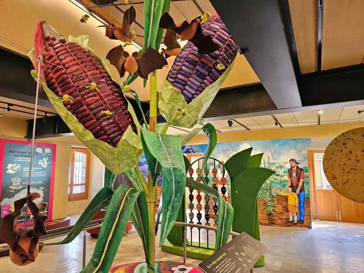 Museo Cencalli: Casa del Maíz y la Cultura Alimentaria 