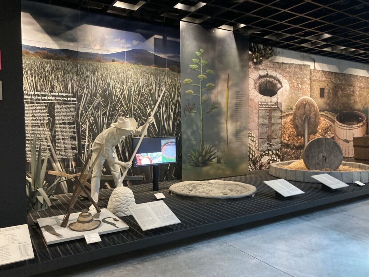 Museo del Tequila y el Mezcal