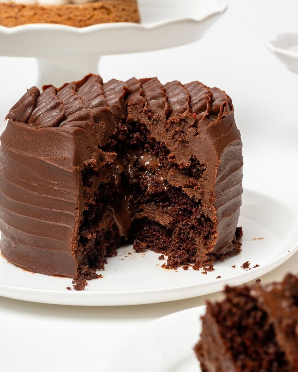 Abu's chocolate cake macorina