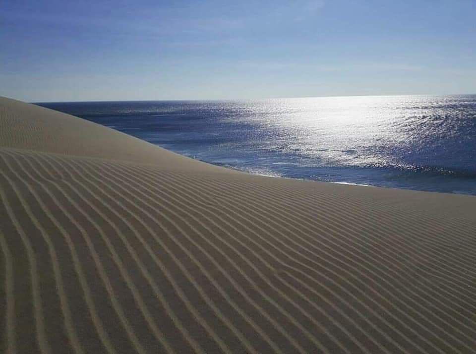Playa oaxaqueña con dunas de arena blanca 